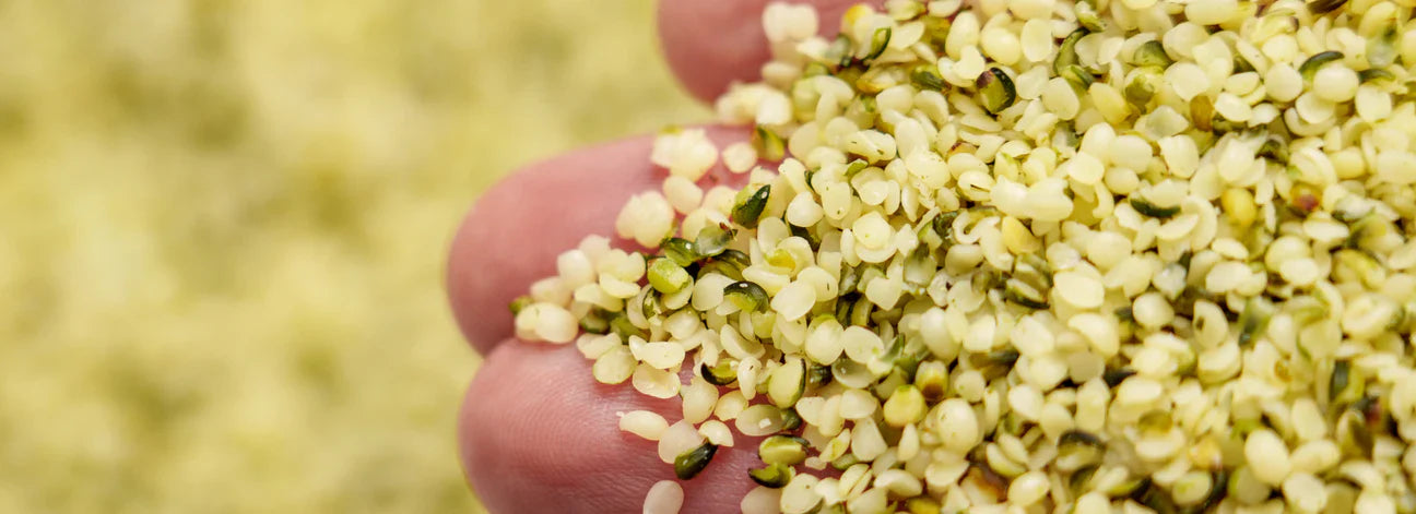 Jak se konopné semínko dostane na váš stůl?