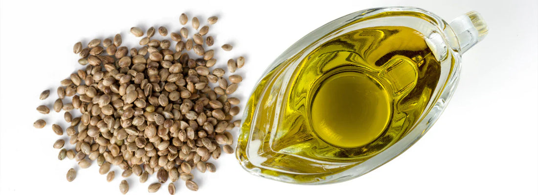 Proč zkusit konopné semínko místo rybího oleje?