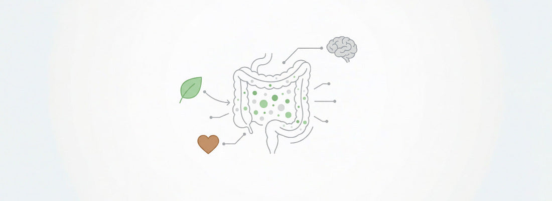 Mikrobiom a veganská strava: základ zdravého trávení